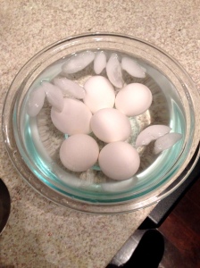 boiled eggs cooling in ice bath